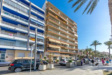 Piso/Estudio, Playa del Cura, Torrevieja