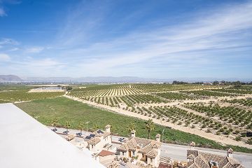 Villa, La Finca,  Algorfa
