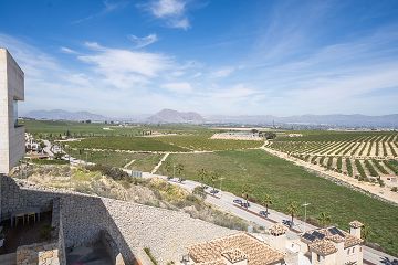 Villa, La Finca,  Algorfa